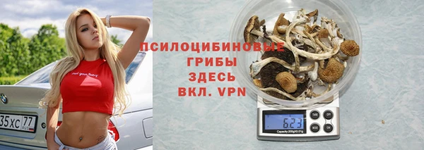спайс Богданович