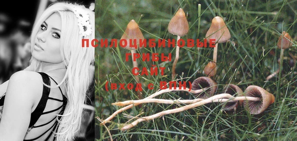 2c-b Белоозёрский