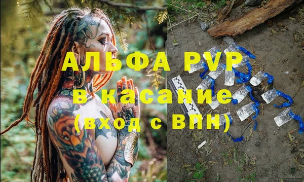 спайс Богданович