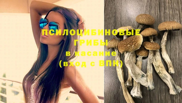2c-b Белоозёрский