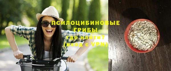 2c-b Белоозёрский