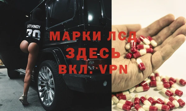 PSILOCYBIN Богородицк
